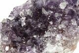 Sparking, Purple, Amethyst Crystal Cluster - Uruguay #249556-2